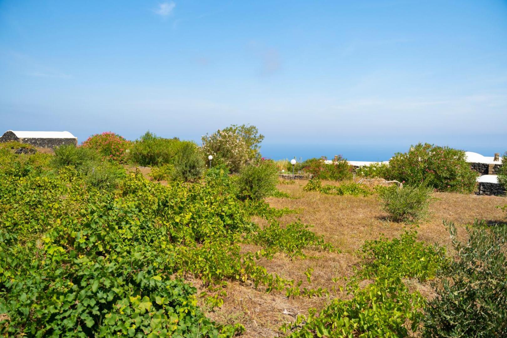 Casa Unifamiliare A Sicilia Villa Kamma Exterior foto